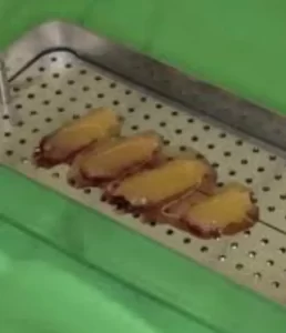 Injerto